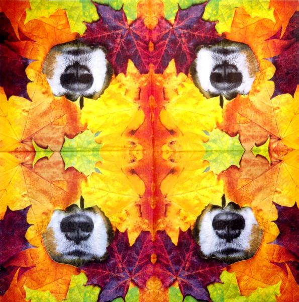 212 Dogs - 3-ply - Ambiente